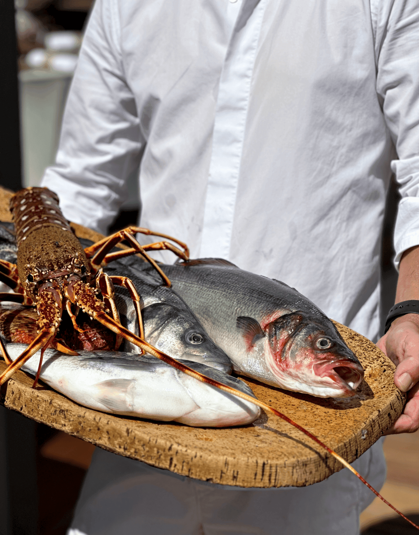 Restaurant gastronomique et pêche du jour à Bonifacio 